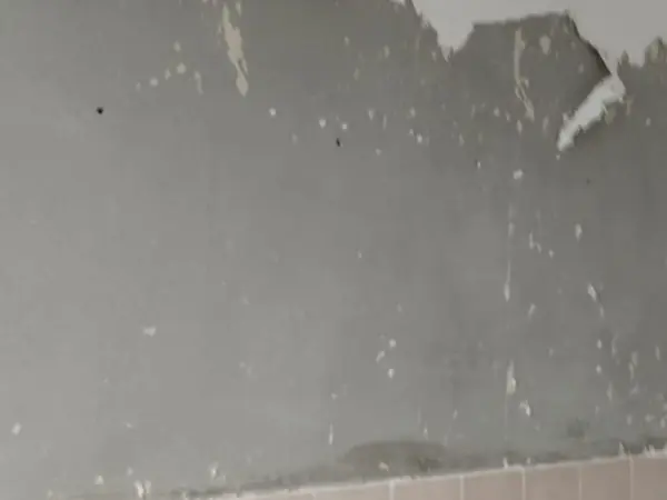 Altbau während des Rückbaus, Estrich und Rohwände sichtbar — Bild 11